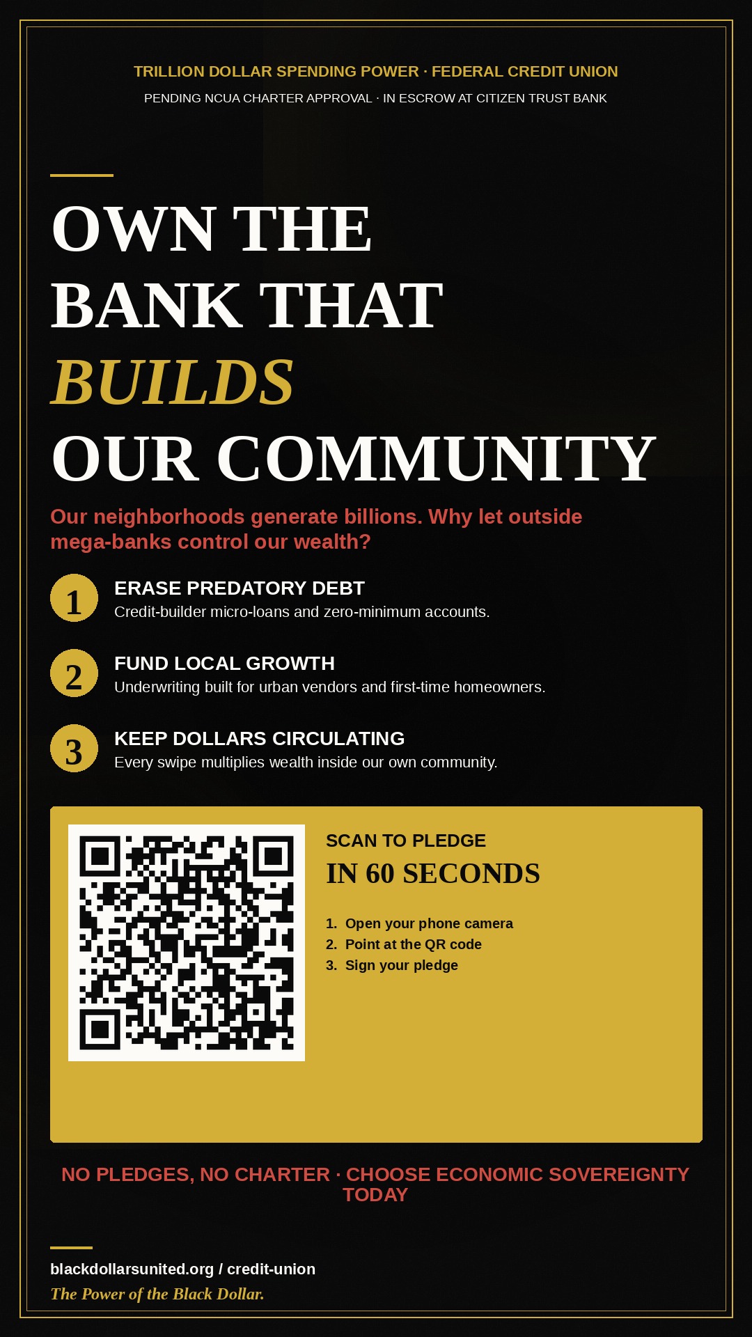 Instagram Story · TikTok · Reels — Trillion Dollar Spending Power FCU flyer